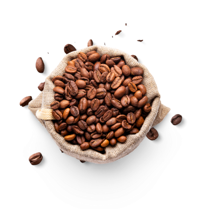 Cafe-lastseecion-home